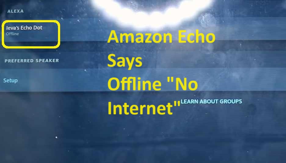 amazon echo device offline no internet