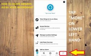 delete alexa recordings