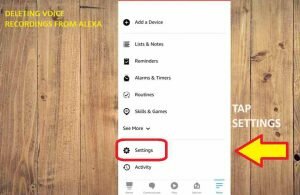 how to delete alexa voice commands