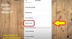 select alexa privacy