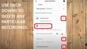 DELETE ALEXA VOICE RECORDING